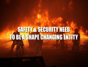 SAFETY AND SECURITY NEED TO BE A SHAPE CHANGING ENTITY- ADAPTING AND EVOLVING AT THE MICRO LEVEL IS THE KEY